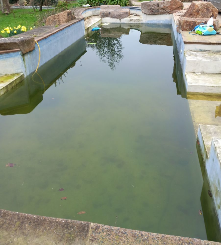 swimming pool restoration